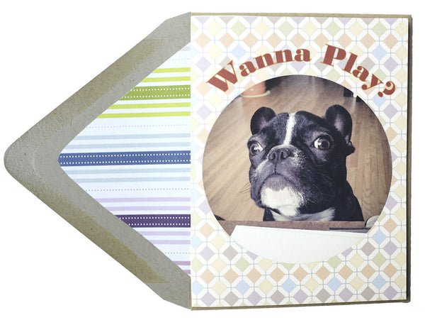 Wanna Play Card - Dog Series