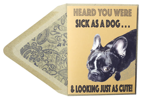 Sick As A Dog: Get Well Card - Dog Series